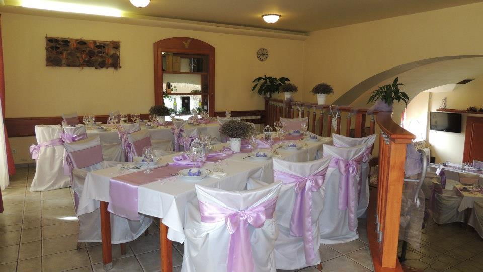 Zamecky Hotel Zlaty Orel Hranice  Exteriör bild