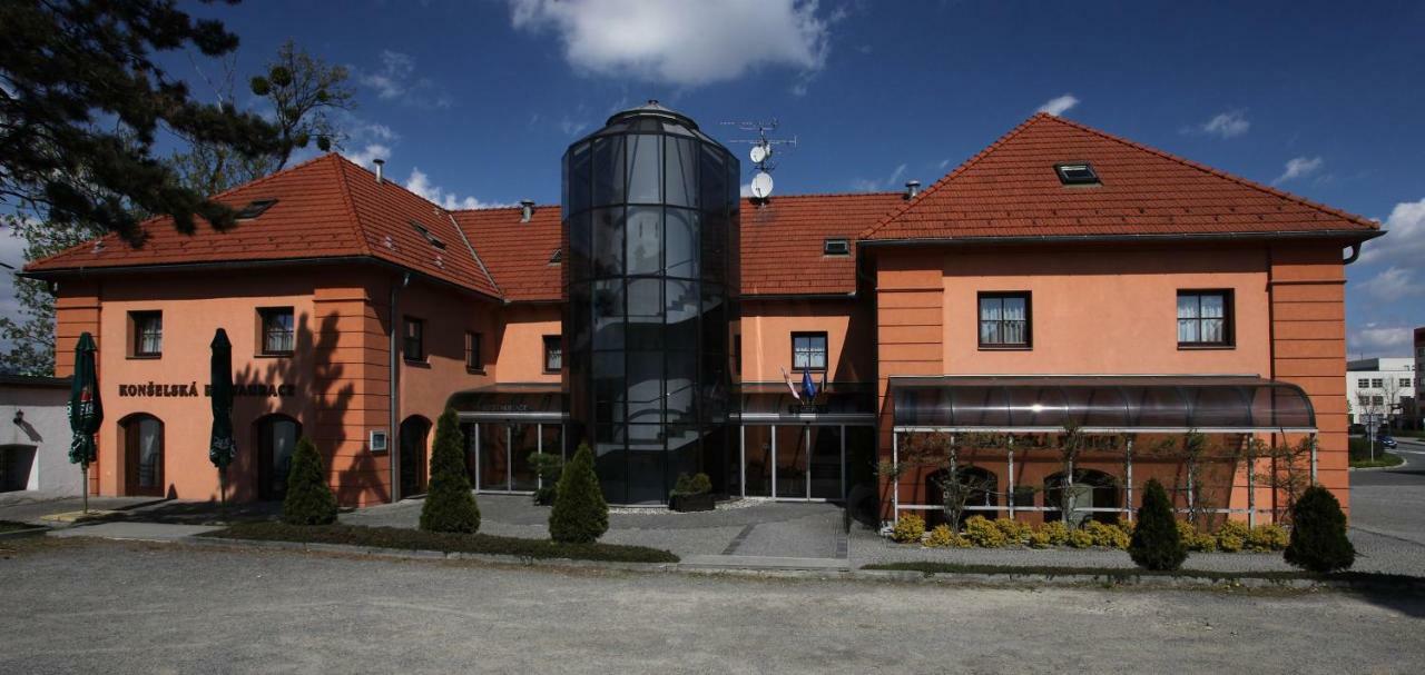 Zamecky Hotel Zlaty Orel Hranice  Exteriör bild